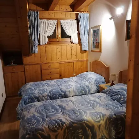 Stella Alpina * Auronzo di Cadore